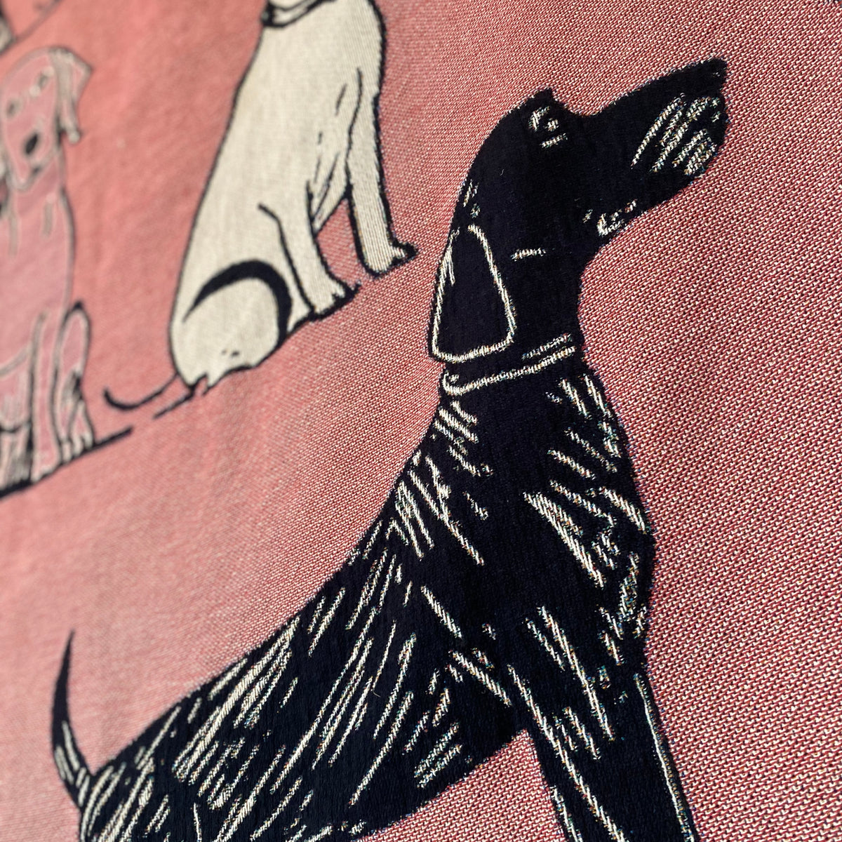 Close-up of the pink dog blanket: a sleek navy dog sitting beside cream pups on pink. Joyful and bold.